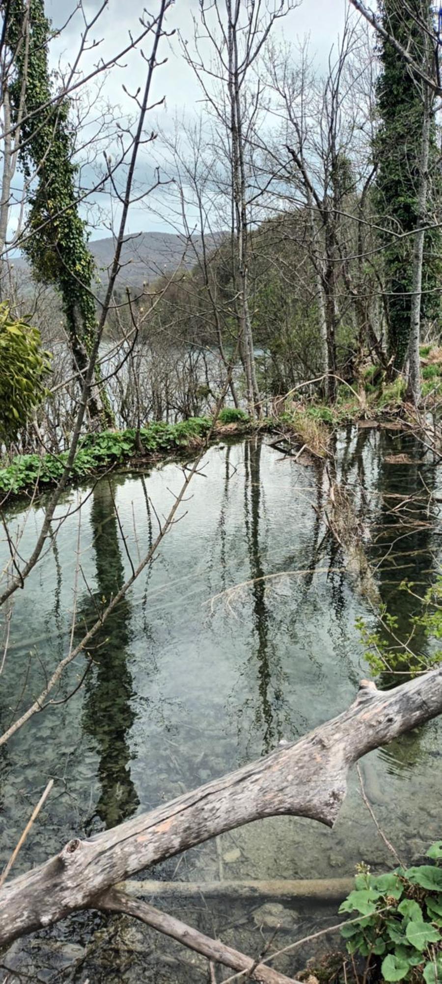 Guesthouse Nikola Plitvicka Jezera Luaran gambar